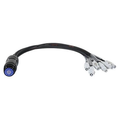  powerCON - Socapex 19-Pin Female 1.5mm Fan-In Cable