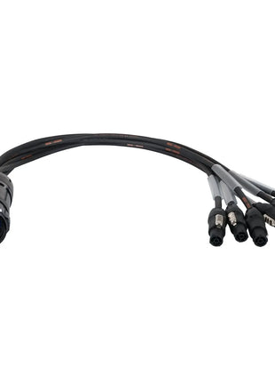  Socapex 19-Pin Male - powerCON TRUE1 1.5mm Fan-Out Cable