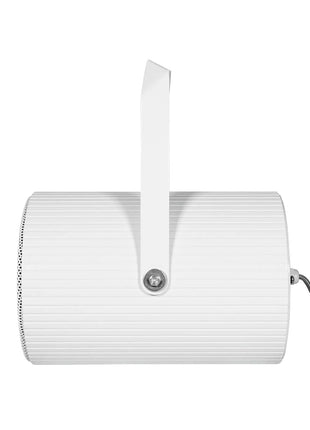 Clever Acoustics PS 620 100V 6" 15W Projector Speaker