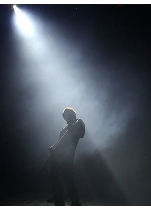 Chauvet DJ Hurricane Haze 4D