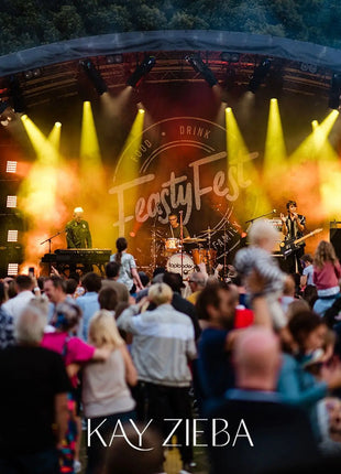 Elumen8 Evora CMY300 Zoom Spot