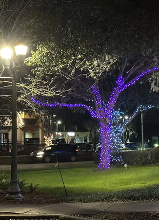  Rubber Connectable Dimmable LED String Lights Purple 20m