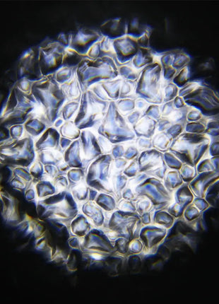 Equinox Waterwave XP 100W