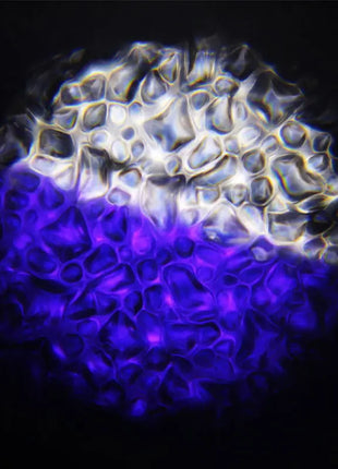 Equinox Waterwave XP 100W