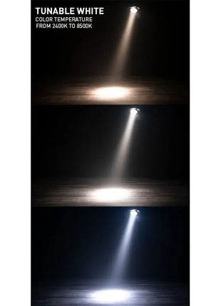 ADJ Encore FR Pro Color