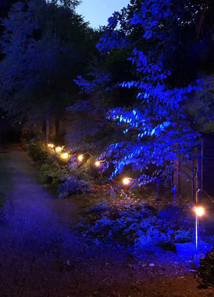 PCE 25m BC Festoon 1m Spacing