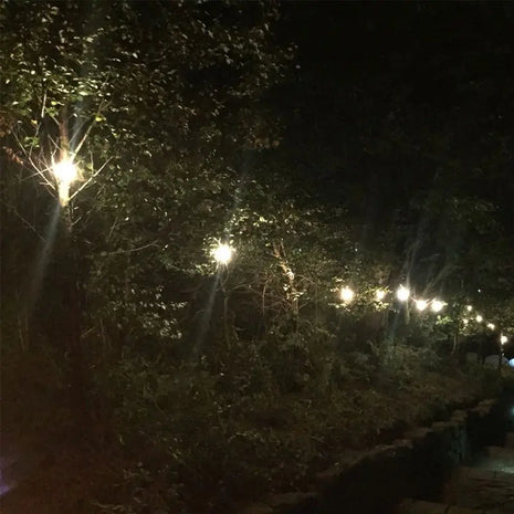 PCE 25m BC Festoon 1m Spacing