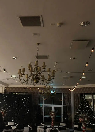 PCE 10m BC Festoon 0.3m Spacing