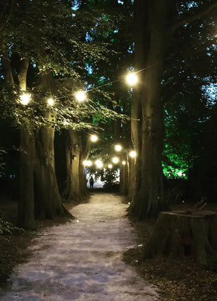 PCE 25m BC Festoon 0.3m Spacing