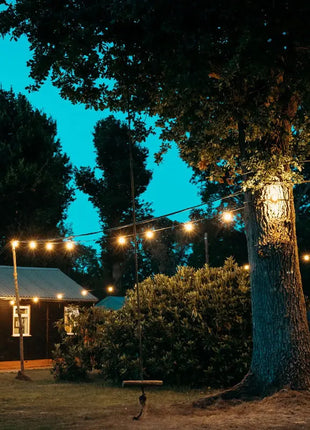 PCE 25m BC Festoon 0.5m Spacing