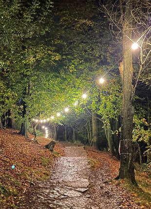 PCE 50m BC Festoon 0.5m Spacing