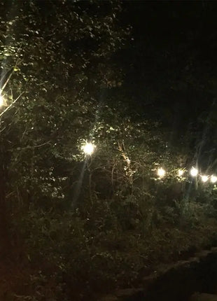 PCE 50m BC Festoon 3m Spacing