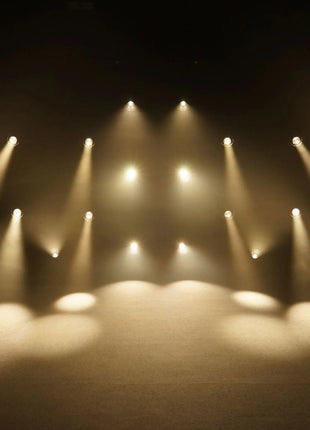 LEDJ Stage Par CZ200 3200K