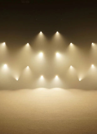 LEDJ Stage Par CZ200 3200K