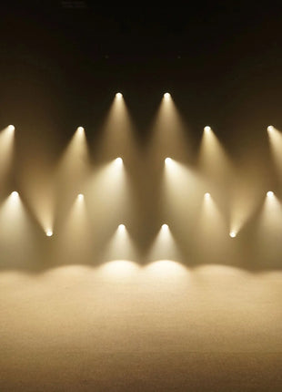 LEDJ Stage Par CZ200 3200K