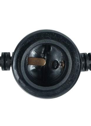 LEDJ 25m ES Festoon 1m Spacing