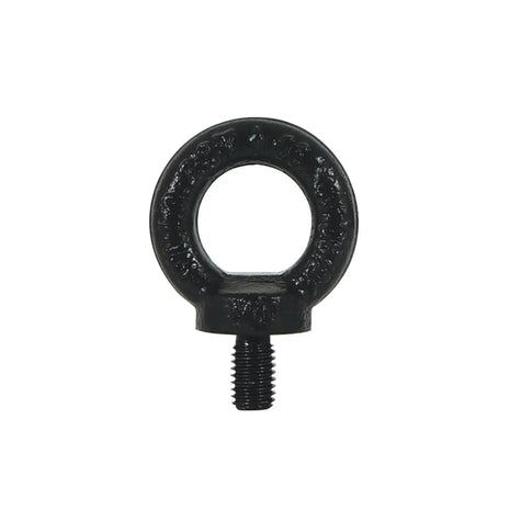 Elumen8 M10 DIN 580 Eyebolt Black