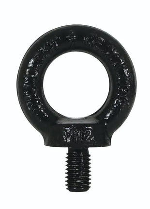 Elumen8 M12 DIN 580 Eyebolt Black