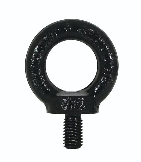 Elumen8 M12 DIN 580 Eyebolt Black