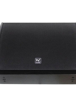 W Audio SM 12 Stage Monitor
