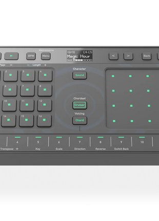 AlphaTheta Chordcat AlphaTheta Top View