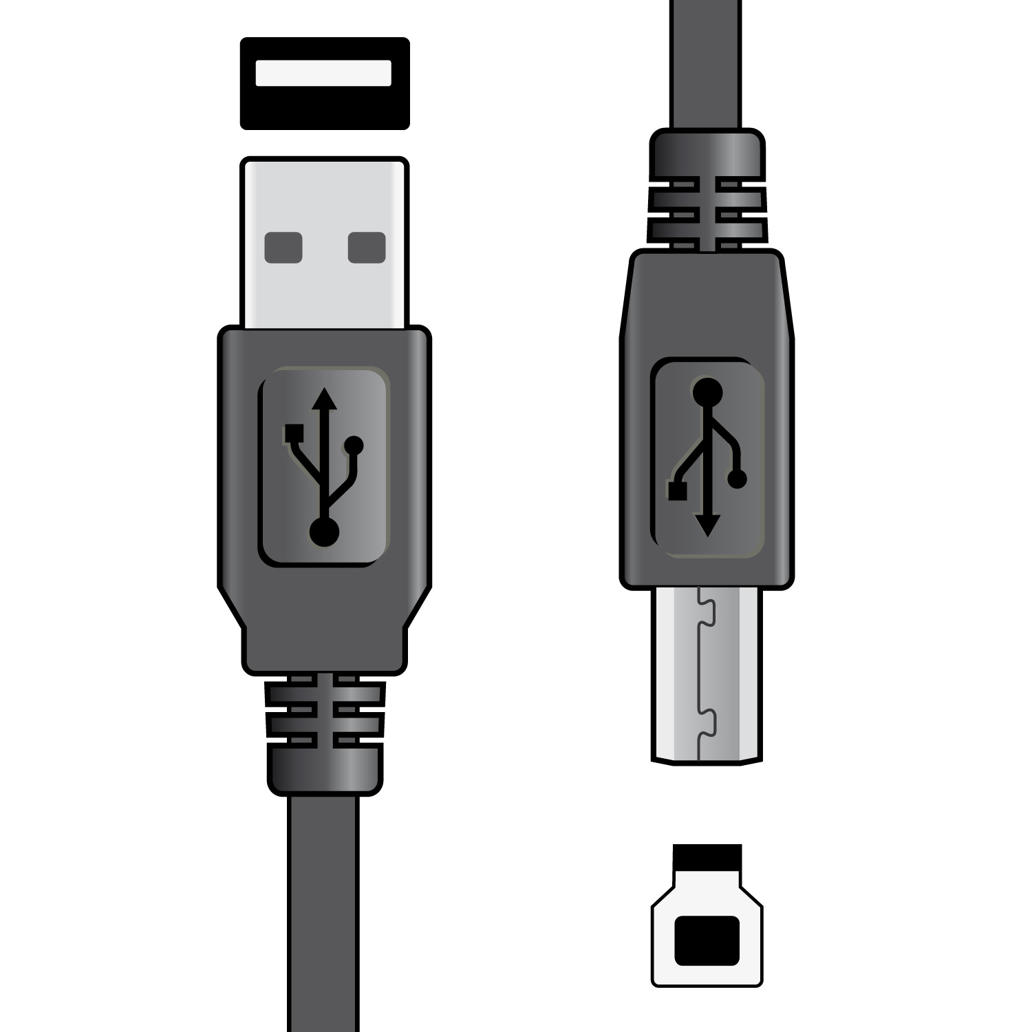 USB 2.0 Type A Plug to Type B Plug Lead