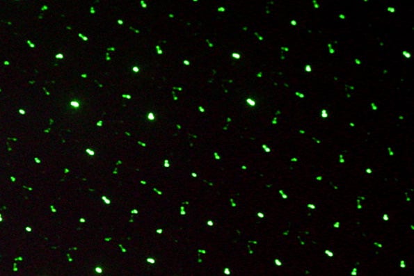KAM Star Cluster 40MW Green Laser FX2