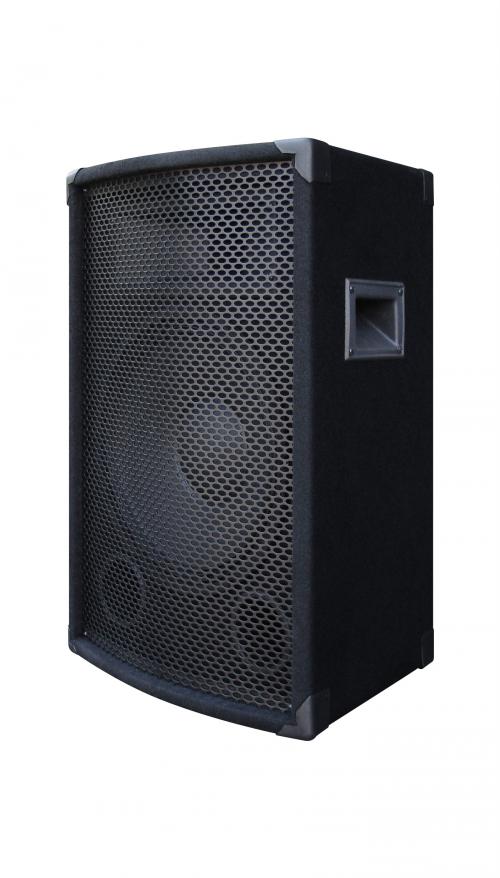 KAM ZP10 200W Full Range Speaker