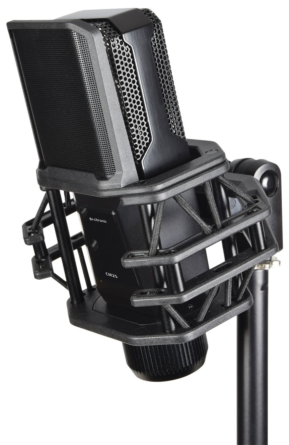 CM25 Studio Condenser Microphone CM25 Studio Condenser Microphone